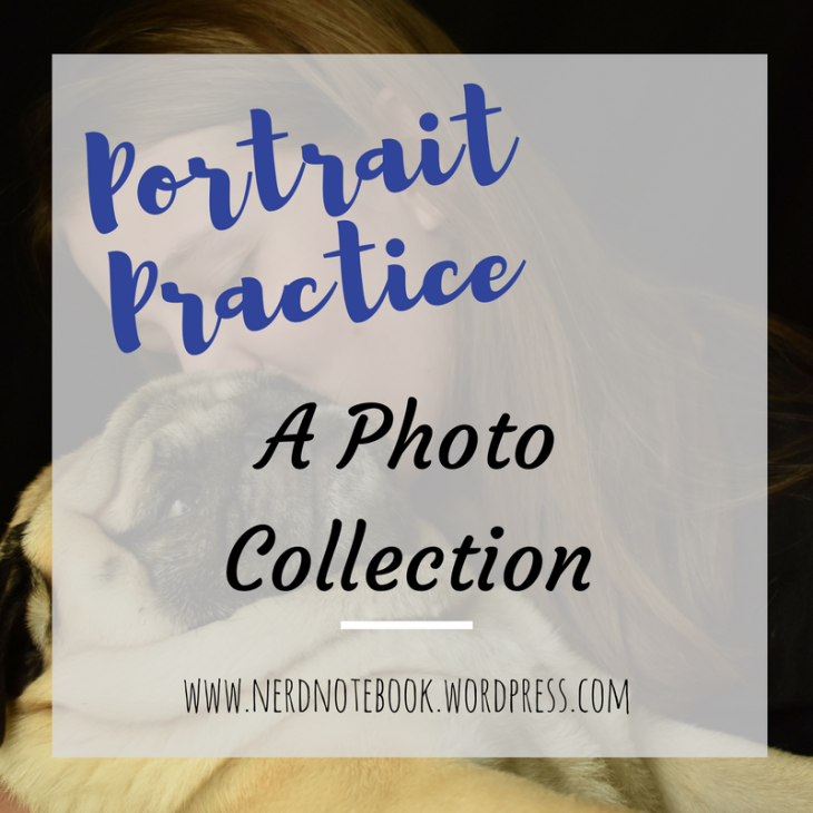 Portrait Practice- A Photo Collection